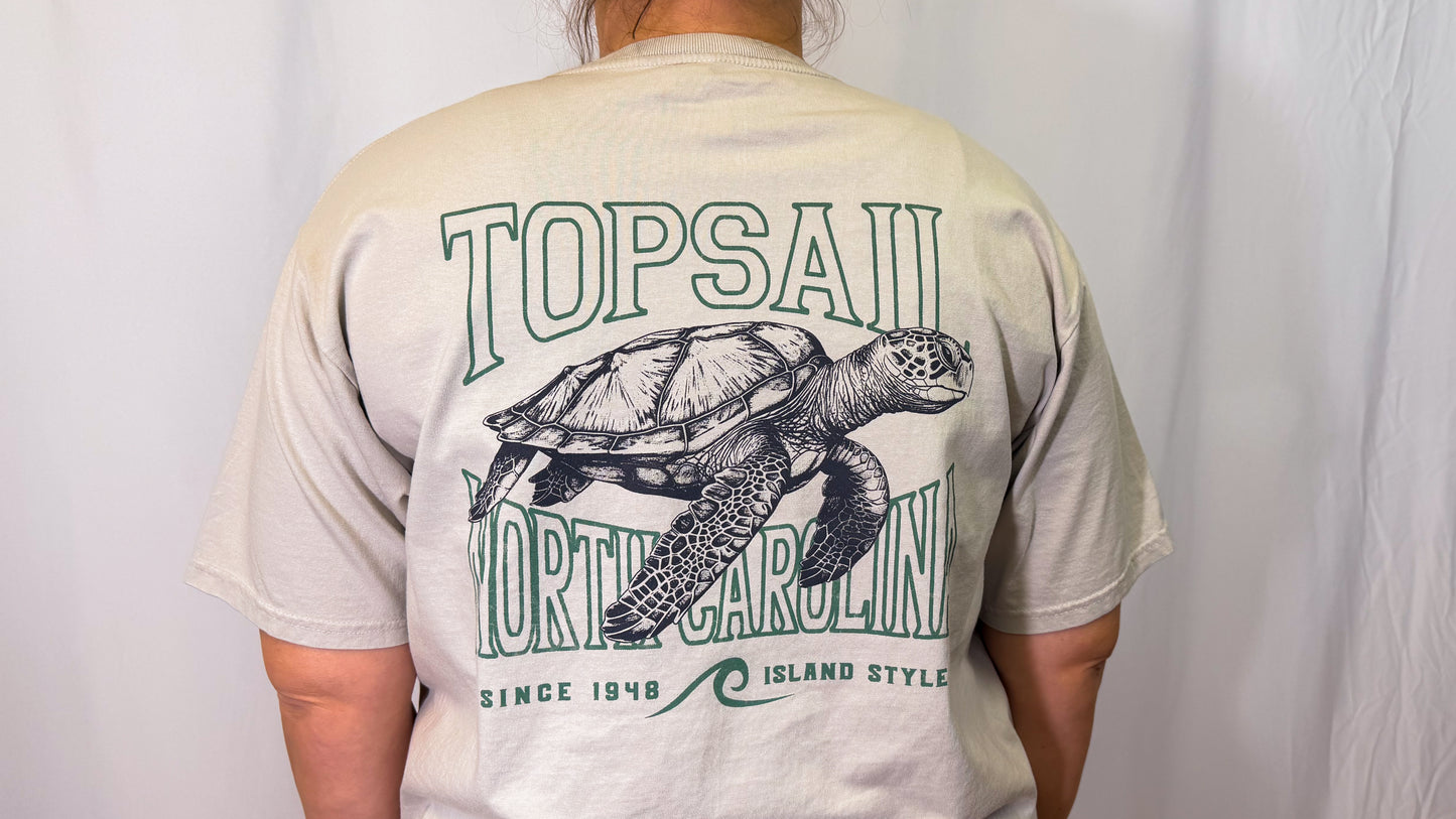 Spague Sea Turtle